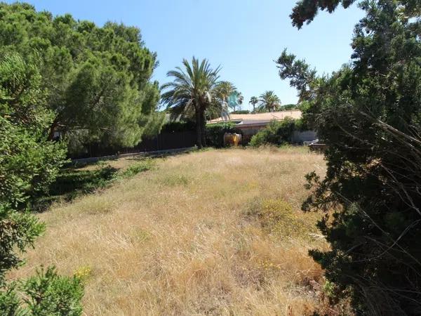Terreno en Barrio Lomas de Cabo Roig-Los Dolses thumbnail 1
