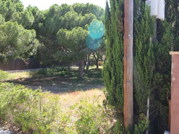 Terreno en Barrio Lomas de Cabo Roig-Los Dolses thumbnail 2