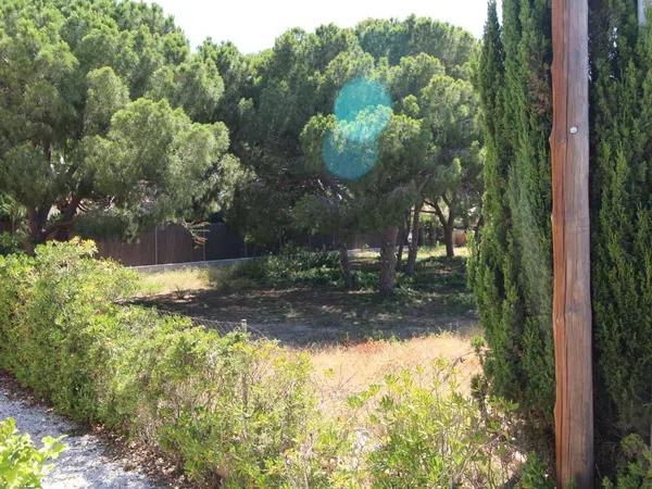 Terreno en Barrio Lomas de Cabo Roig-Los Dolses photo 4