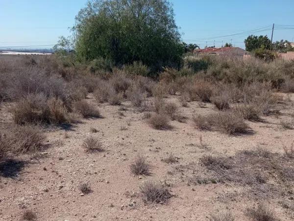 Terreno en calle la Vall de Galligants, 3 photo 1
