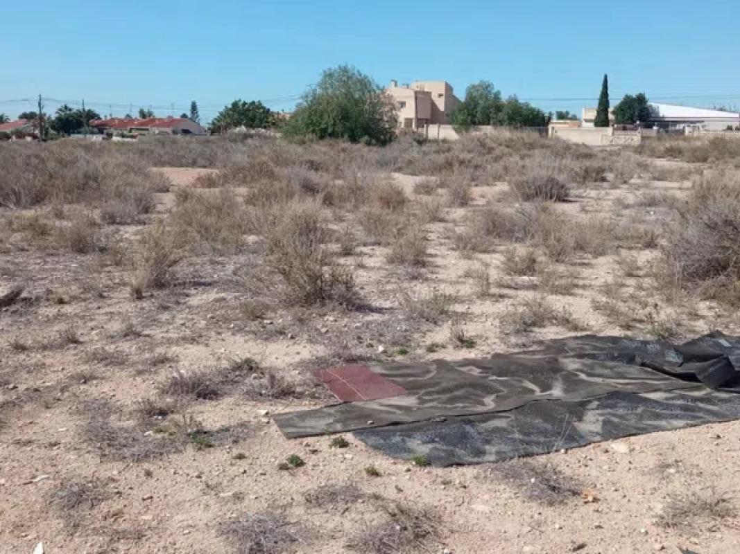 Terreno en venta en Mutxamel, Alicante photo 5
