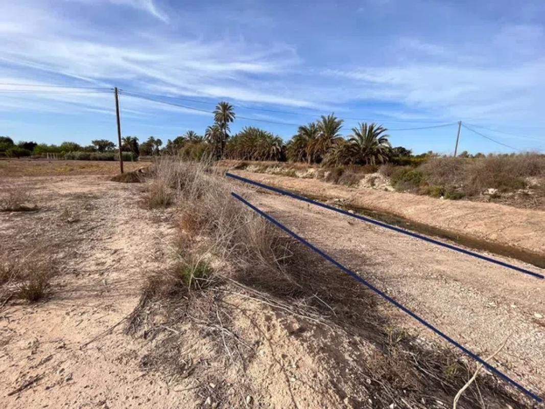 Terreno en venta en Elche / Elx, Alicante photo 4