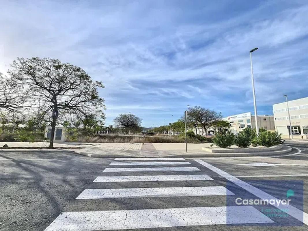 Terreno en venta en Elche / Elx, Alicante photo 5