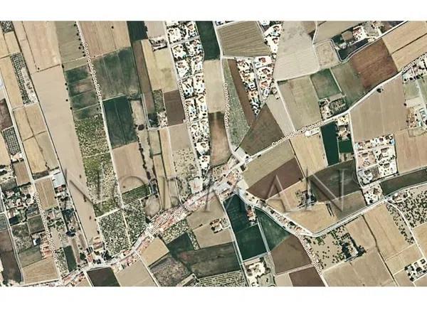 Terreno en Catral photo 2