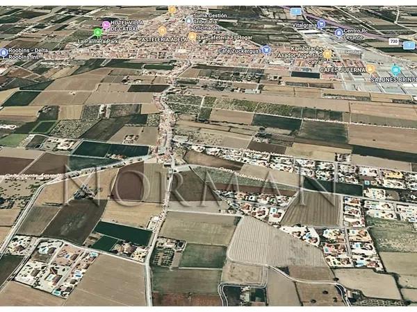 Terreno en Catral photo 3