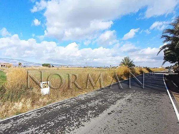Terreno en Catral photo 2
