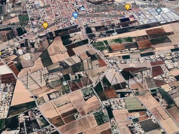 Terreno en Catral photo 4