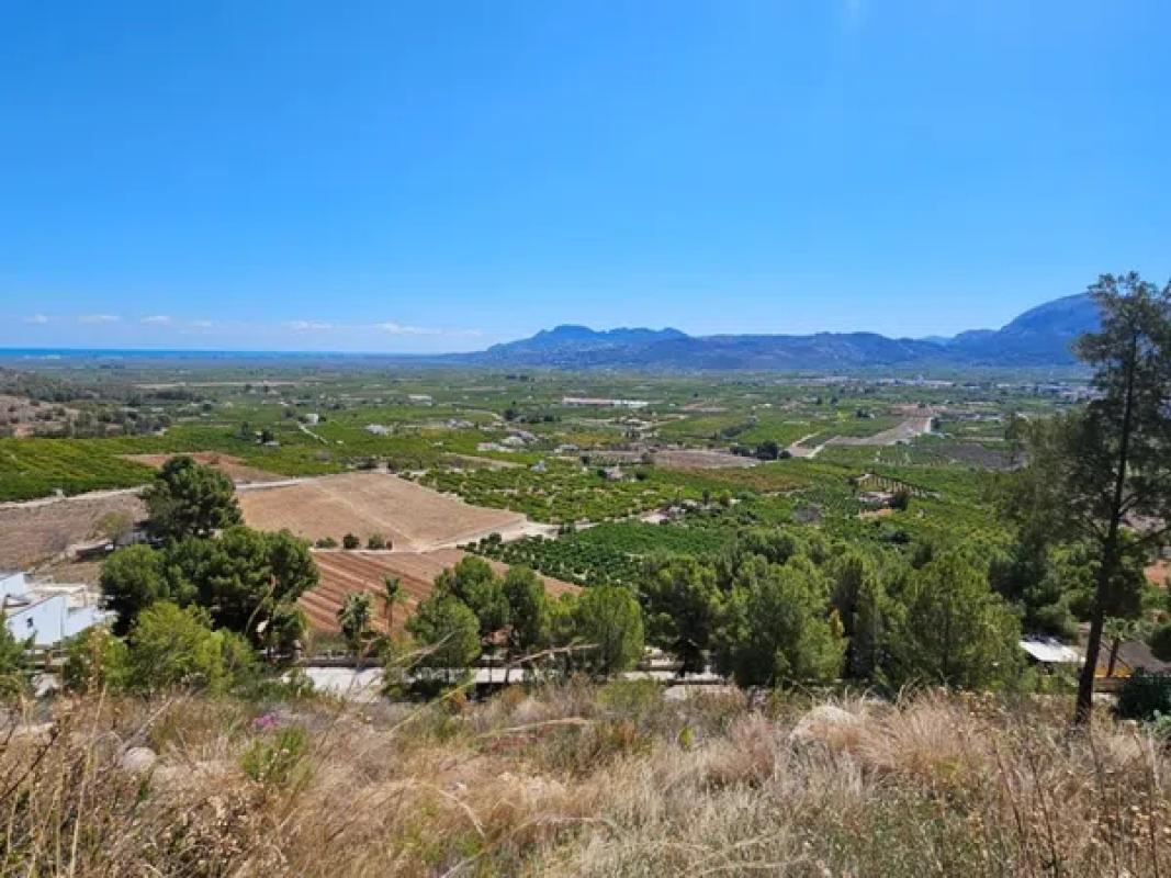Land for sale in Pego, Alicante photo 1