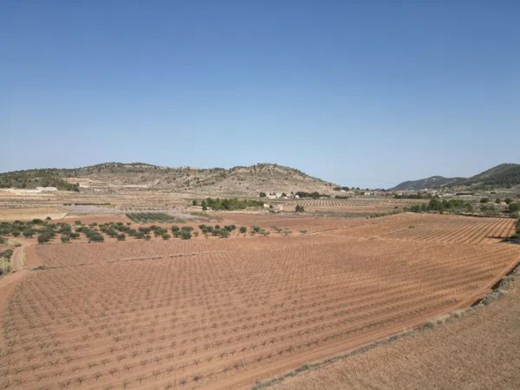 Terreno en venta en Pinoso, Alicante photo 5