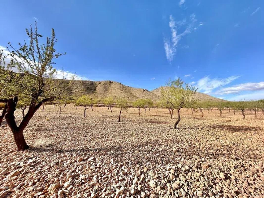 Terreno en venta en Orihuela, Alicante photo 1