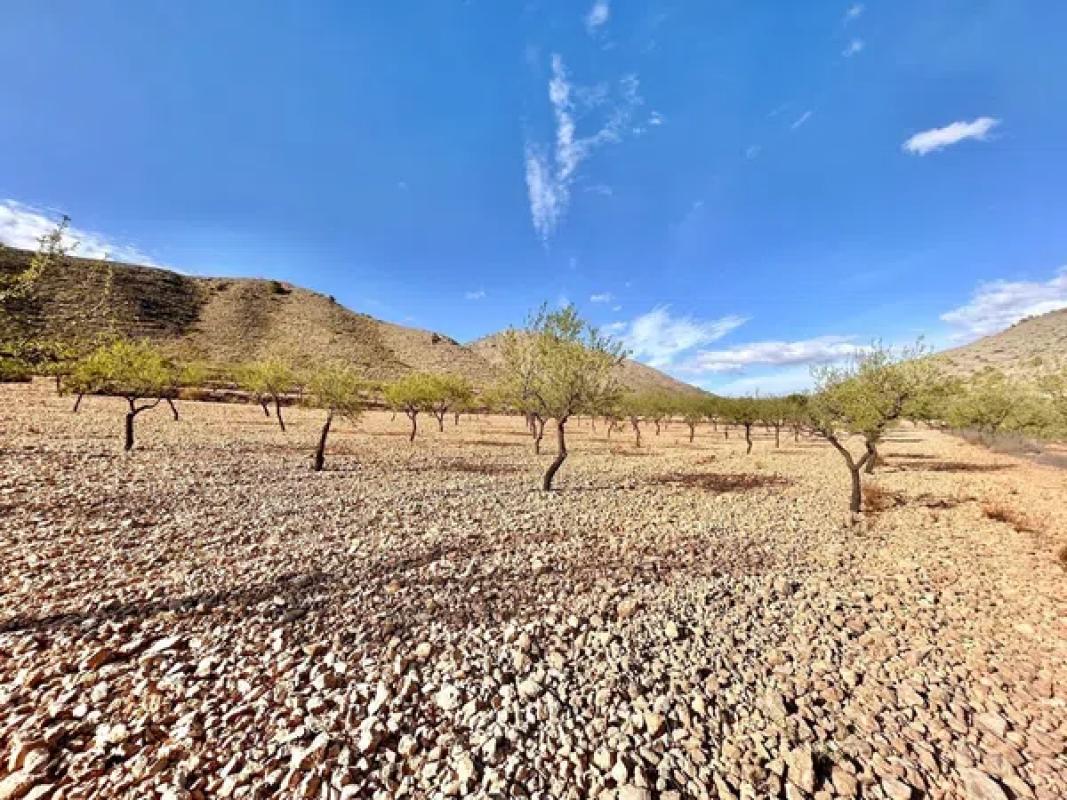 Terreno en venta en Orihuela, Alicante photo 2