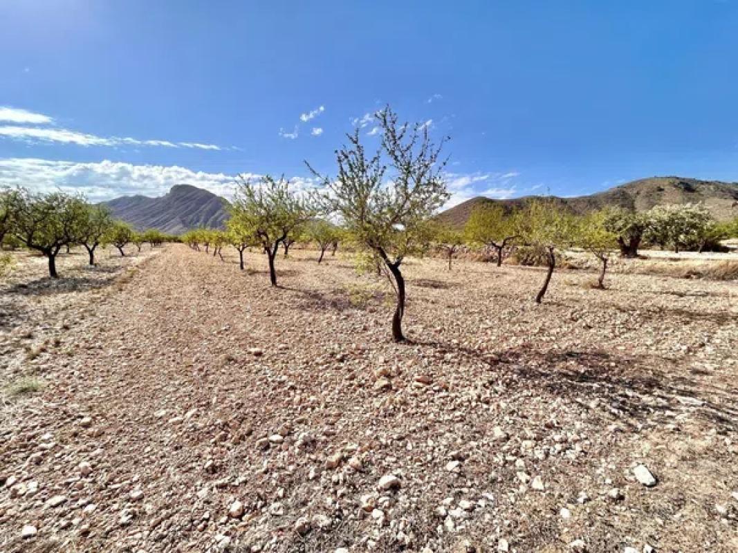 Terreno en venta en Orihuela, Alicante photo 3