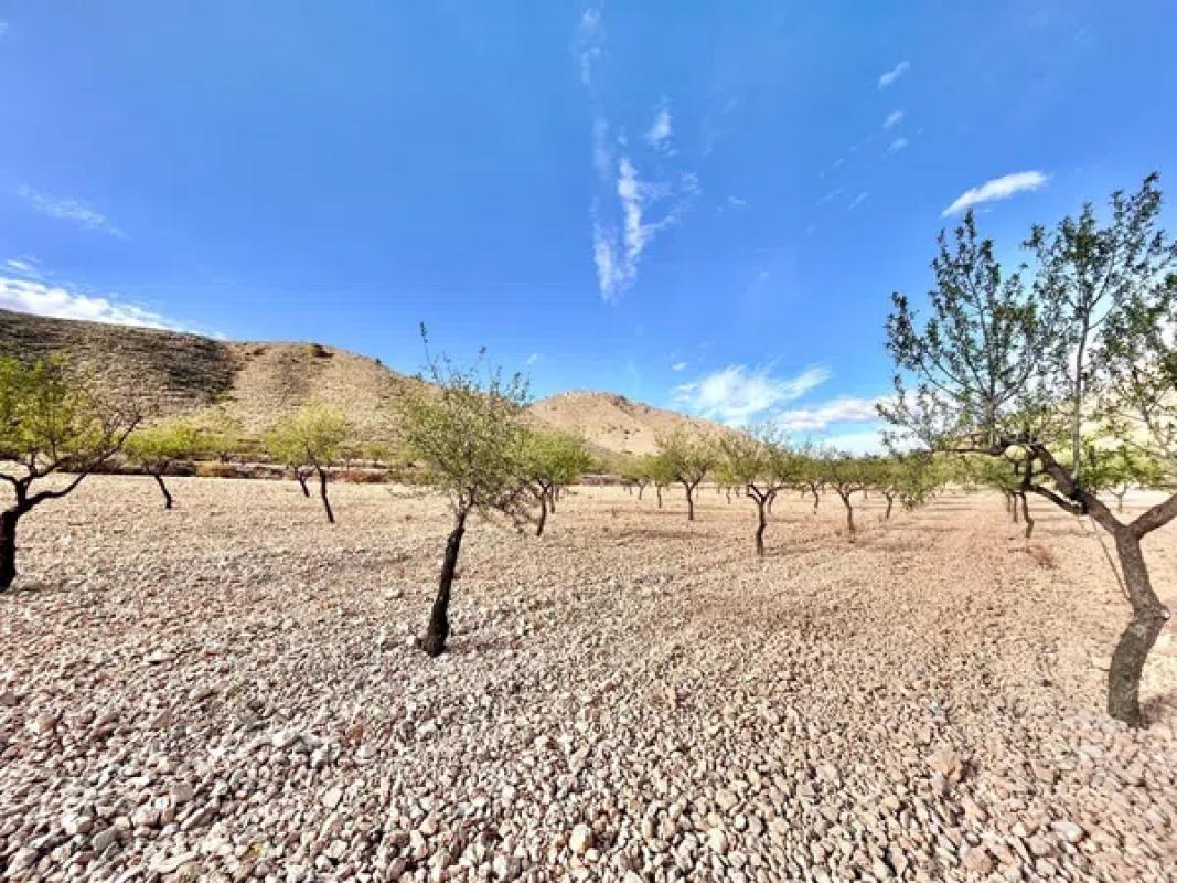 Terreno en venta en Orihuela, Alicante photo 4