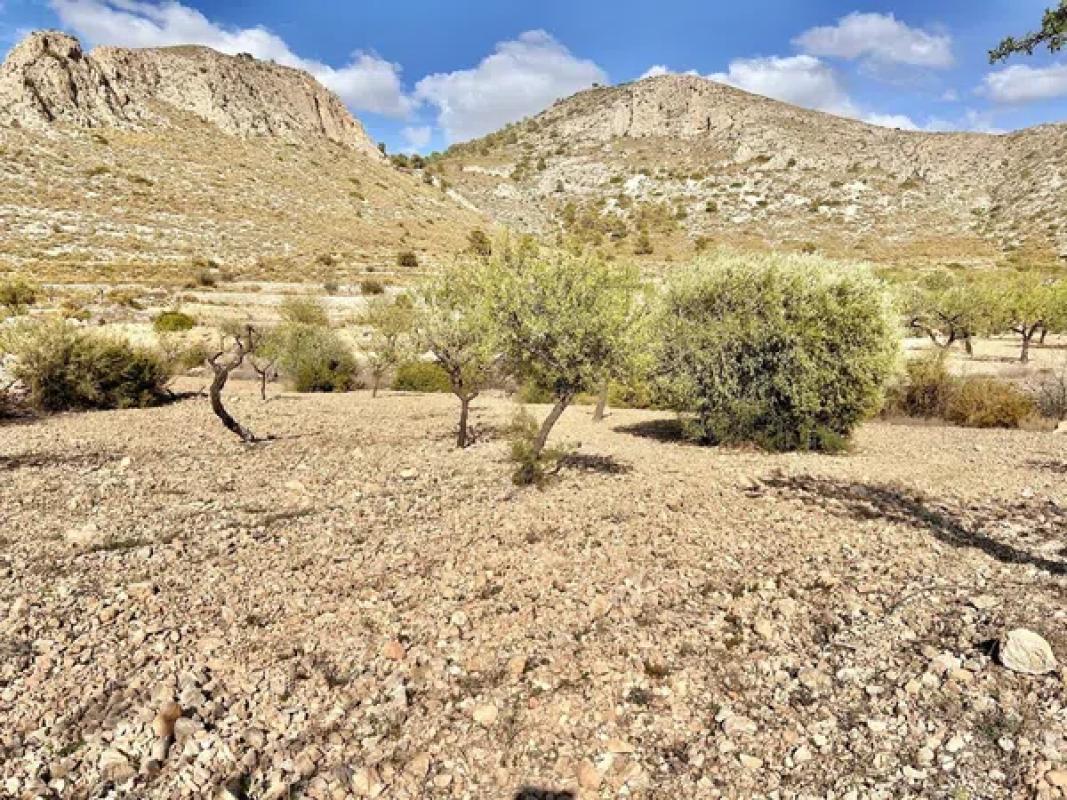 Terreno en venta en Orihuela, Alicante photo 1