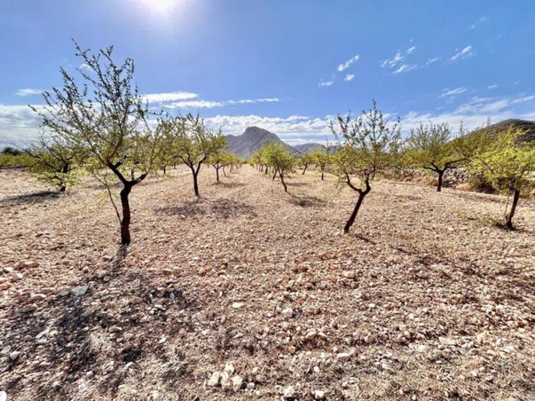 Terreno en venta en Orihuela, Alicante photo 1