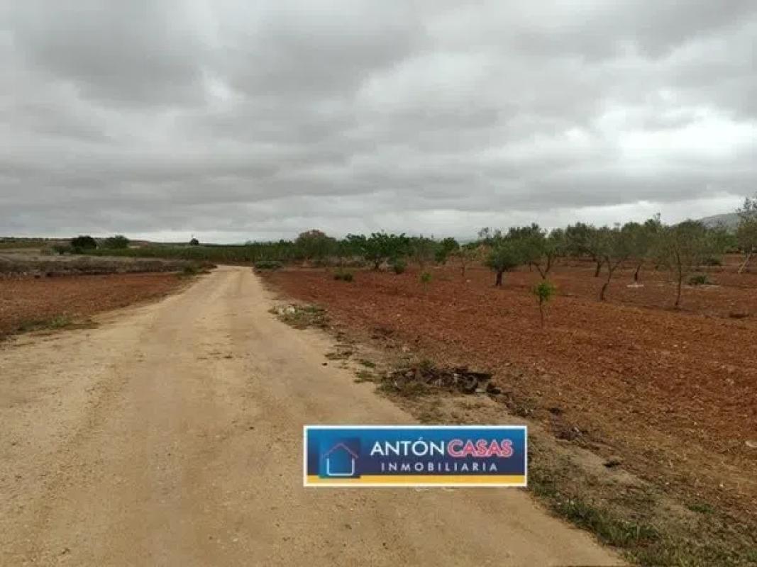 Terreno en venta en Pinoso, Alicante photo 2