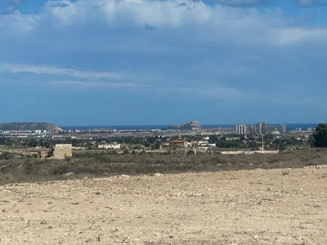 Land for sale in August, Alicante photo 2