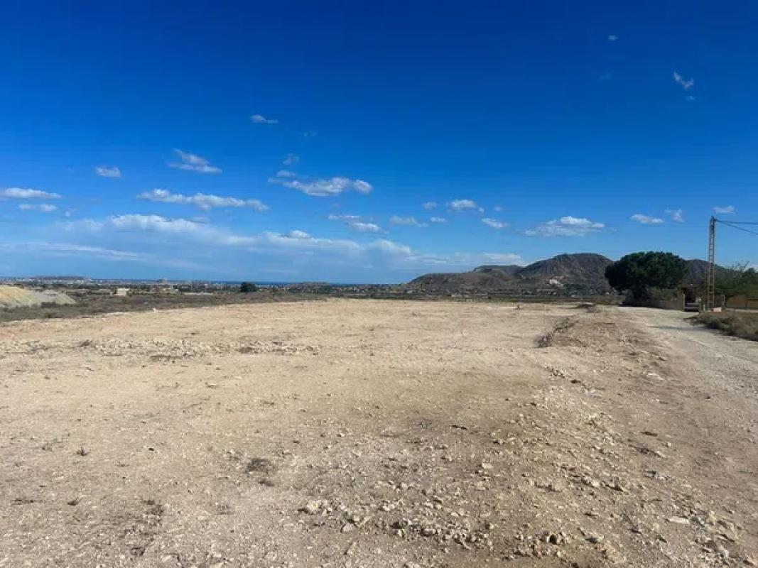 Land for sale in August, Alicante photo 3