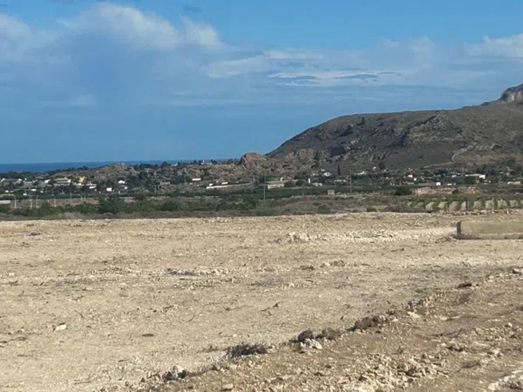 Land for sale in August, Alicante photo 4