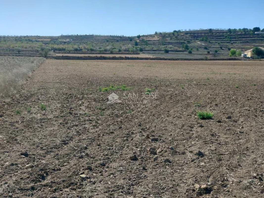 Terreno en venta en Orihuela, Alicante photo 2
