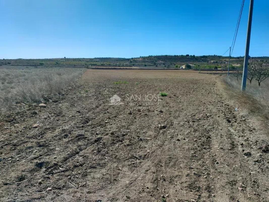 Terreno en venta en Orihuela, Alicante photo 4