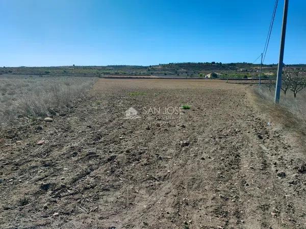 Terreno en La Murada-Los Vicentes photo 4