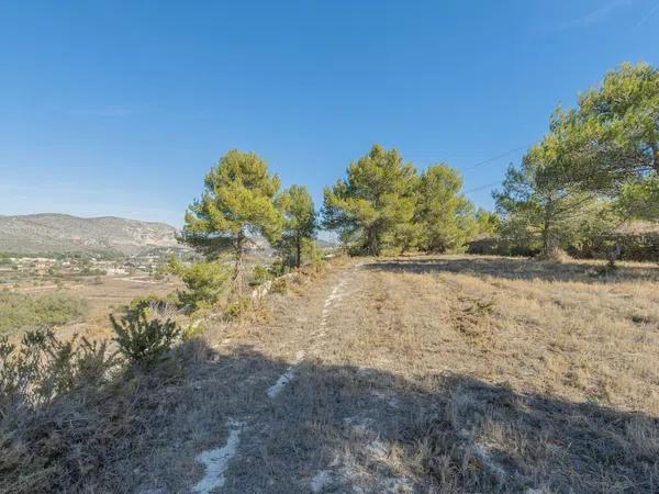 Terreno en Cv-741 photo 1