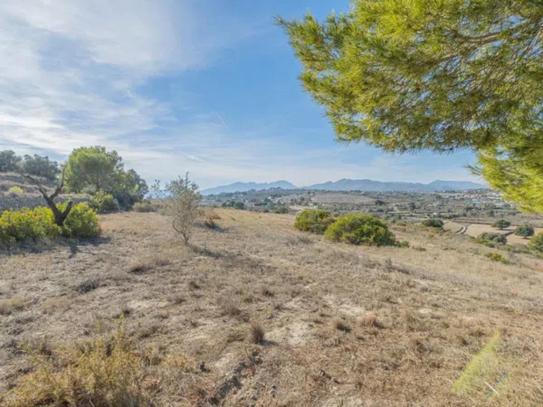 Land for sale in Teulada, Alicante photo 2