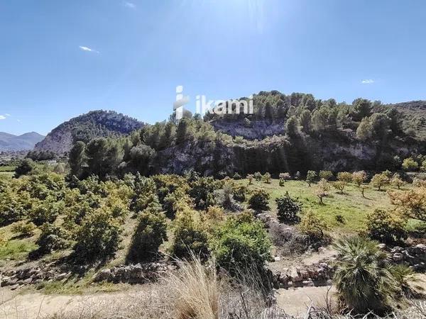 Terreno en Pego photo 2