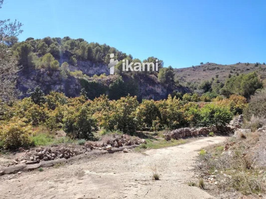 Участок земли на продажу в Пего, Аликанте photo 4
