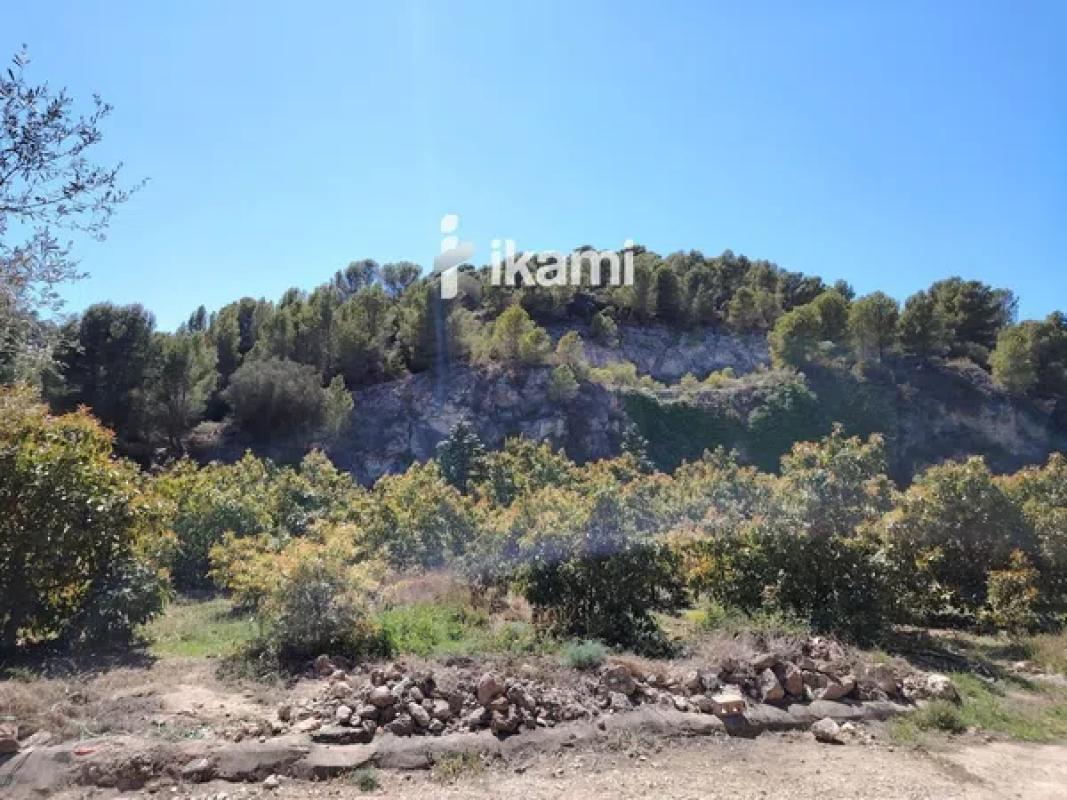 Участок земли на продажу в Пего, Аликанте photo 5