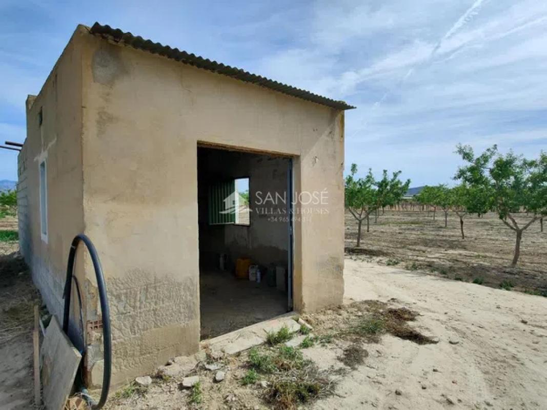 Terreno en venta en Aspe, Alicante photo 3
