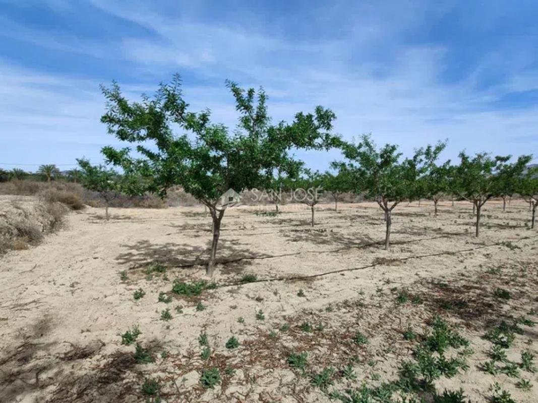 Terreno en venta en Aspe, Alicante photo 4