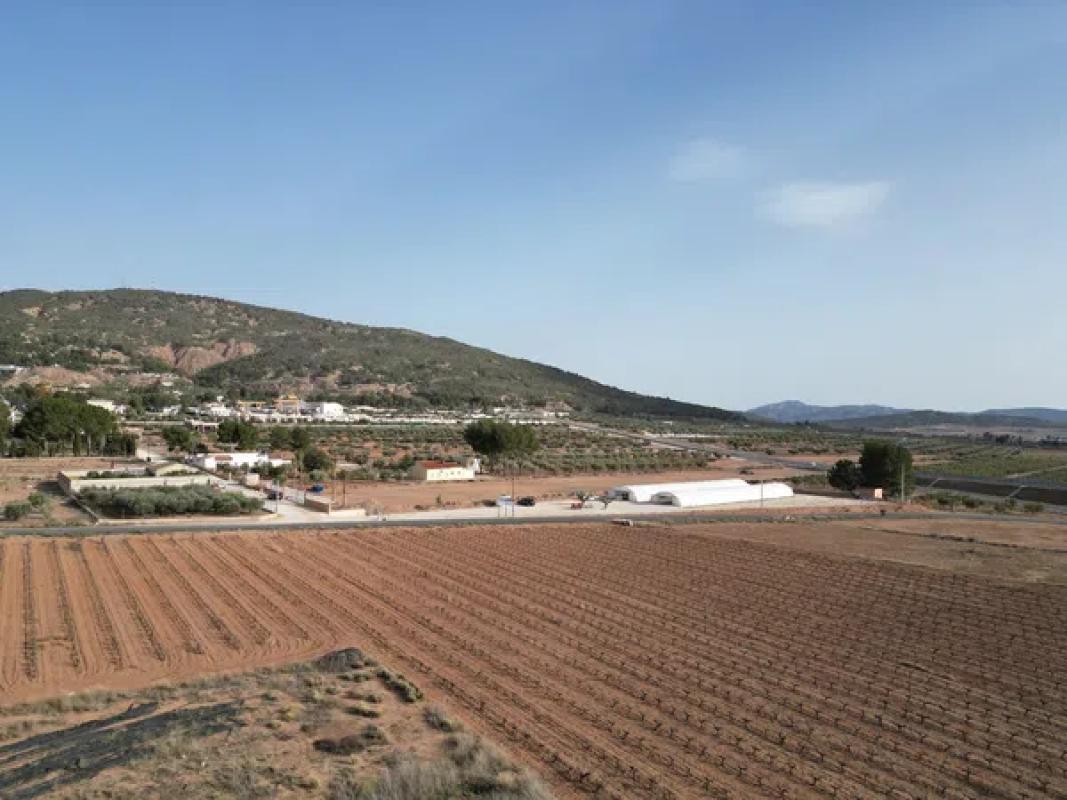 Terreno en venta en Pinoso, Alicante photo 2