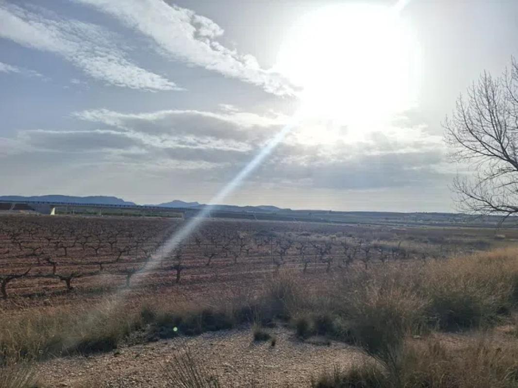 Terreno en venta en Pinoso, Alicante photo 3