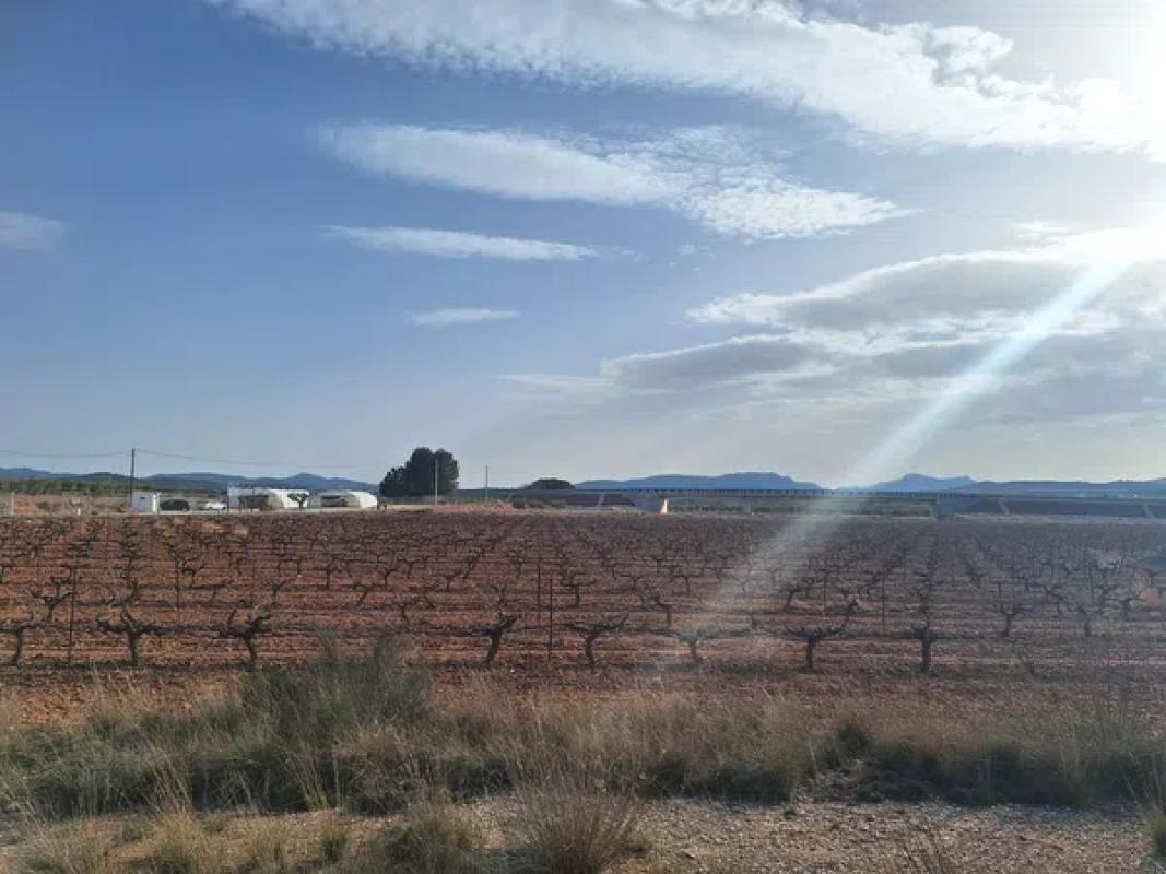 Terreno en venta en Pinoso, Alicante photo 4