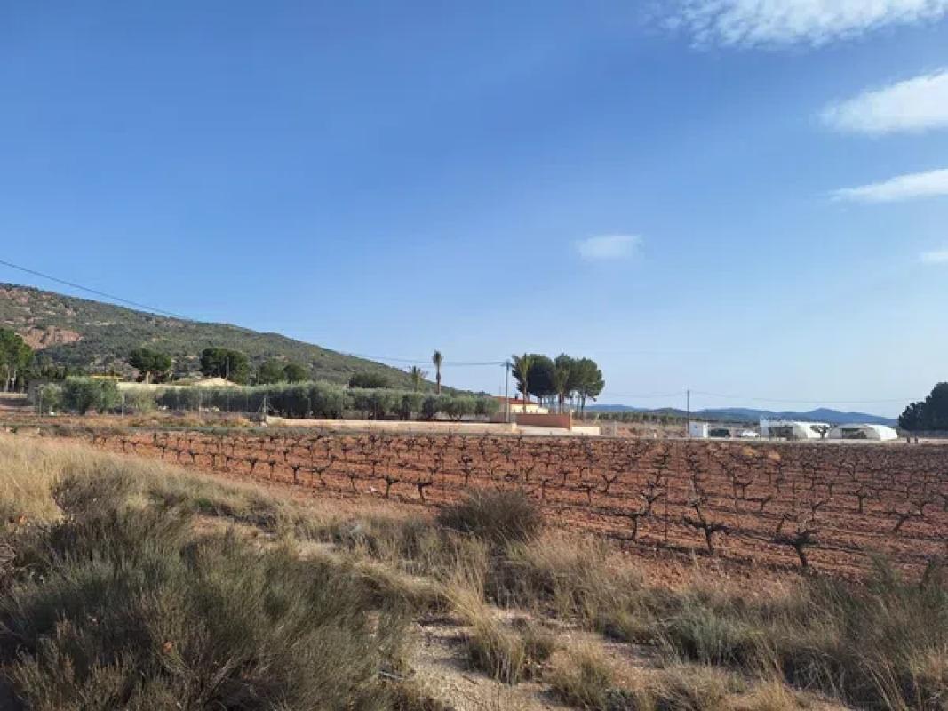 Terreno en venta en Pinoso, Alicante photo 5