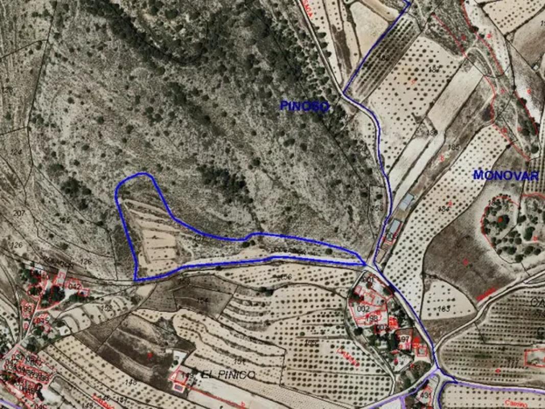 Land for sale in Pinoso, Alicante photo 1