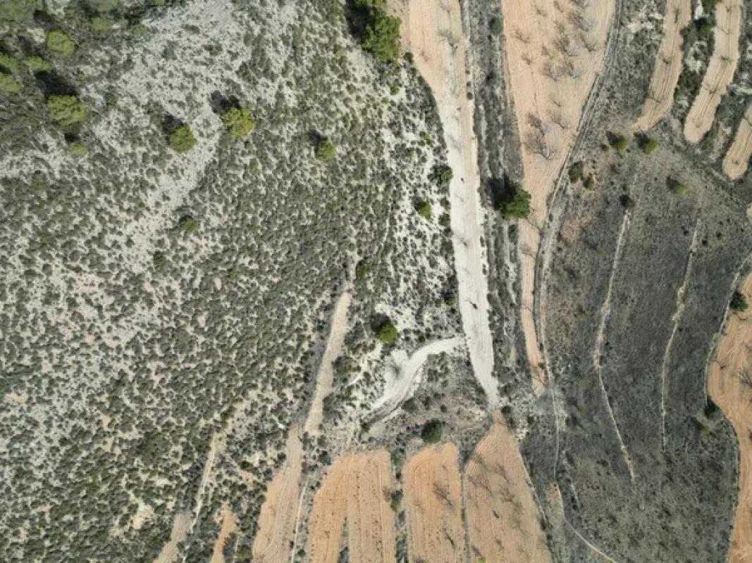 Land for sale in Pinoso, Alicante photo 3