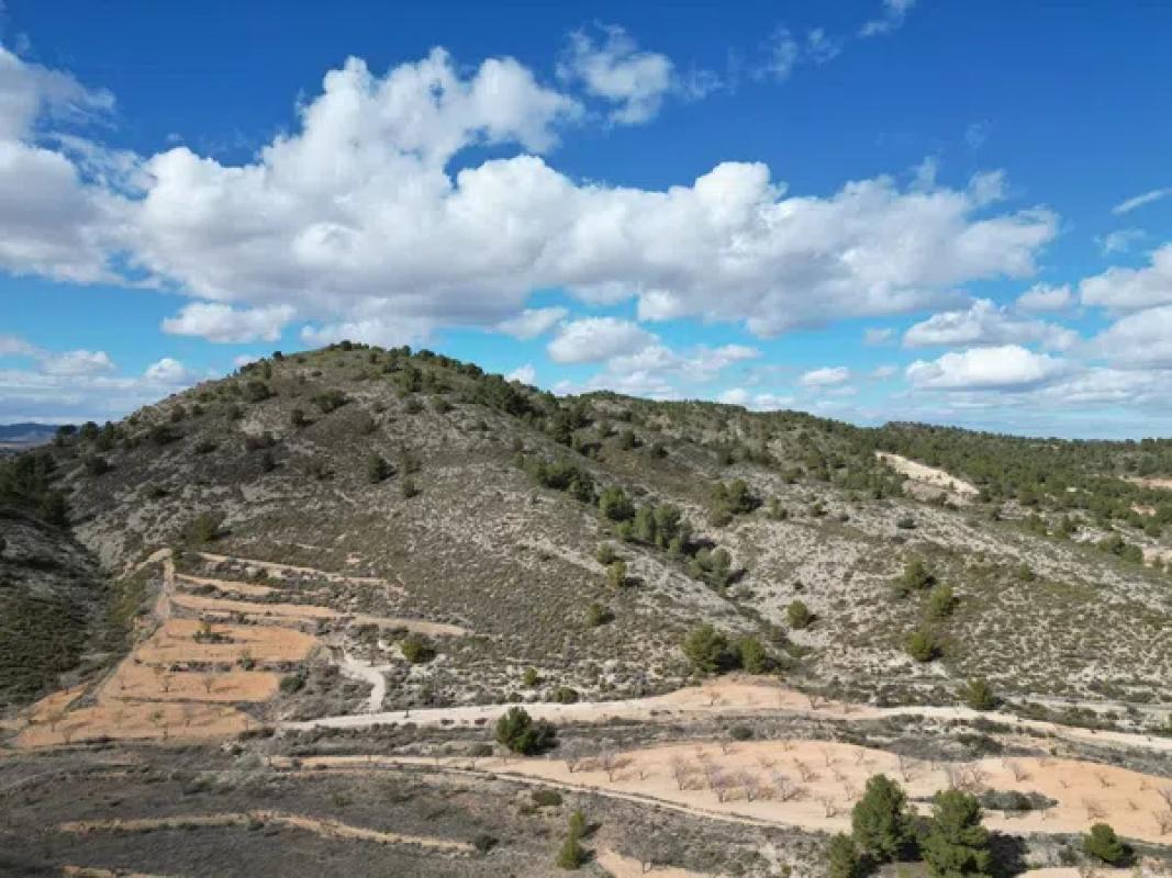 Land for sale in Pinoso, Alicante photo 4
