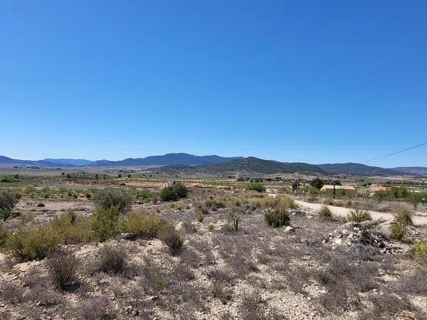 Terreno en Monovar photo 1