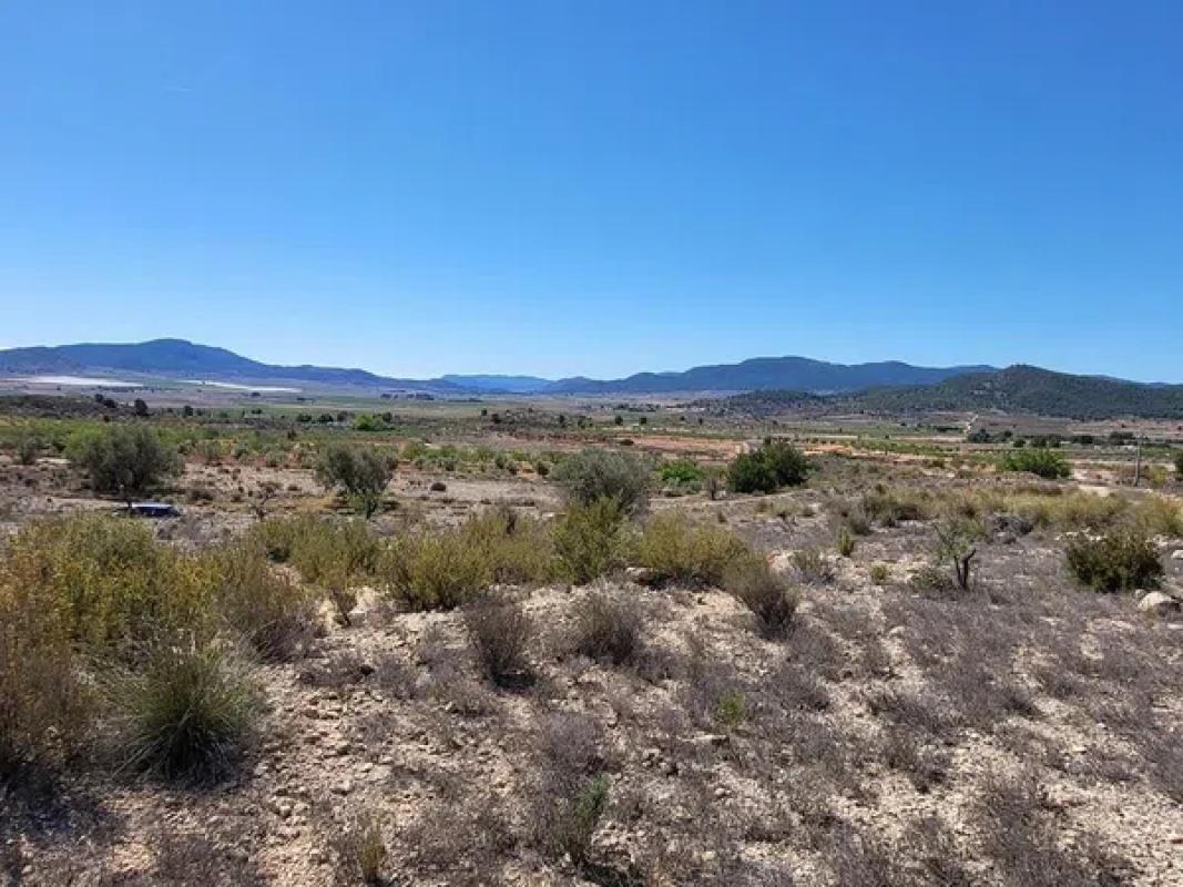 Terreno en venta en Monovar, Alicante photo 2