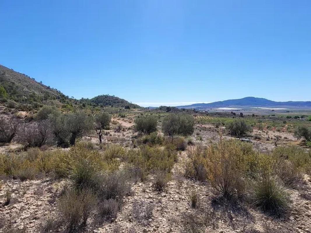 Terreno en venta en Monovar, Alicante photo 4
