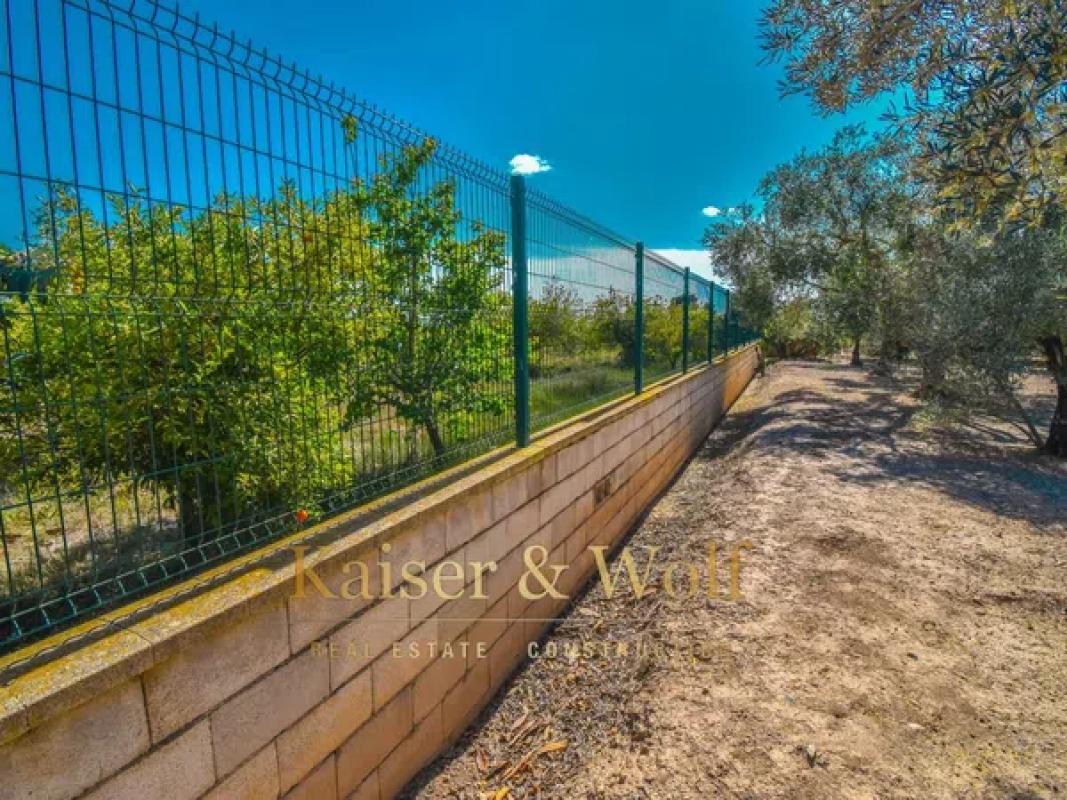 Land for sale in Callosa de Segura, Alicante photo 3