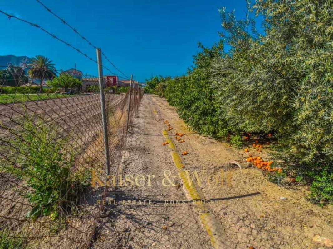 Land for sale in Callosa de Segura, Alicante photo 4