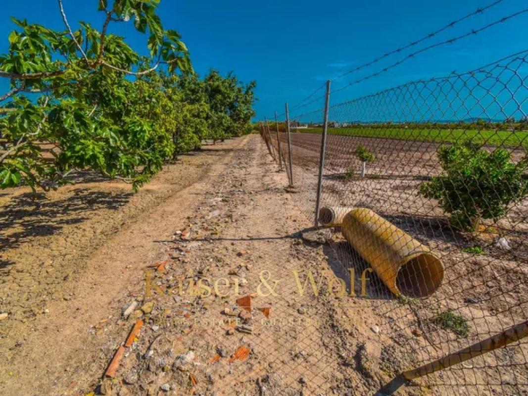 Land for sale in Callosa de Segura, Alicante photo 5