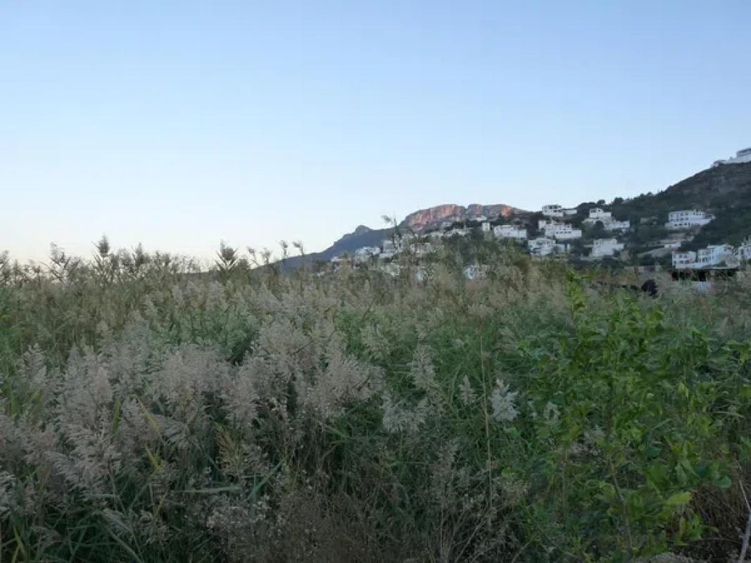 Terreno en venta en Pego, Alicante photo 3