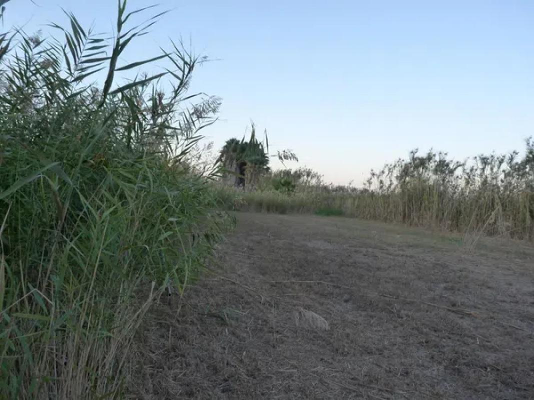 Terreno en venta en Pego, Alicante photo 5