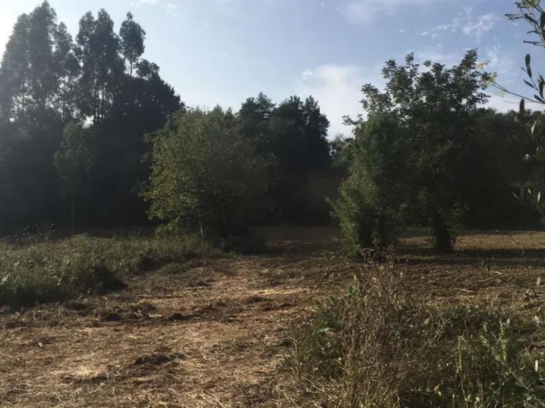 Terreno en venta en Fene, A Coruña photo 4