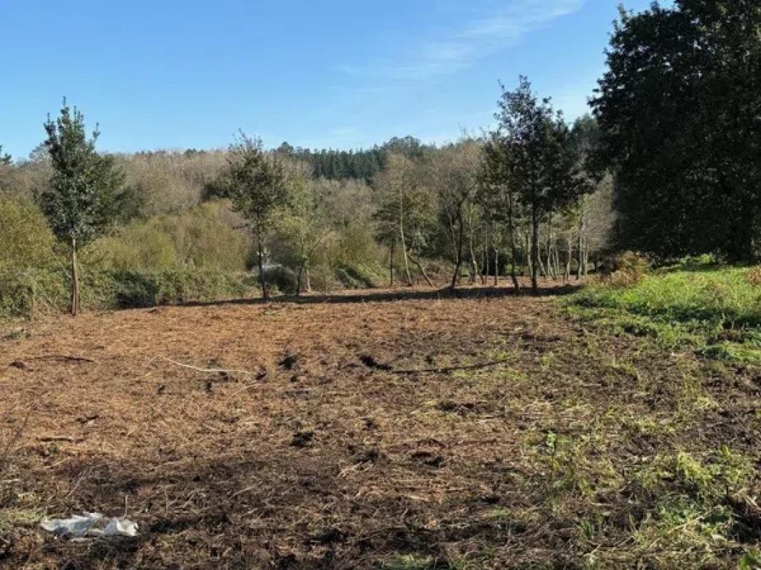 Terreno en venta en Culleredo, A Coruña photo 1